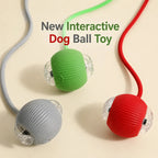 Automatic Rolling Dog Ball