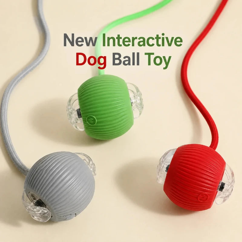 Automatic Rolling Dog Ball