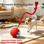 Automatic Rolling Dog Ball