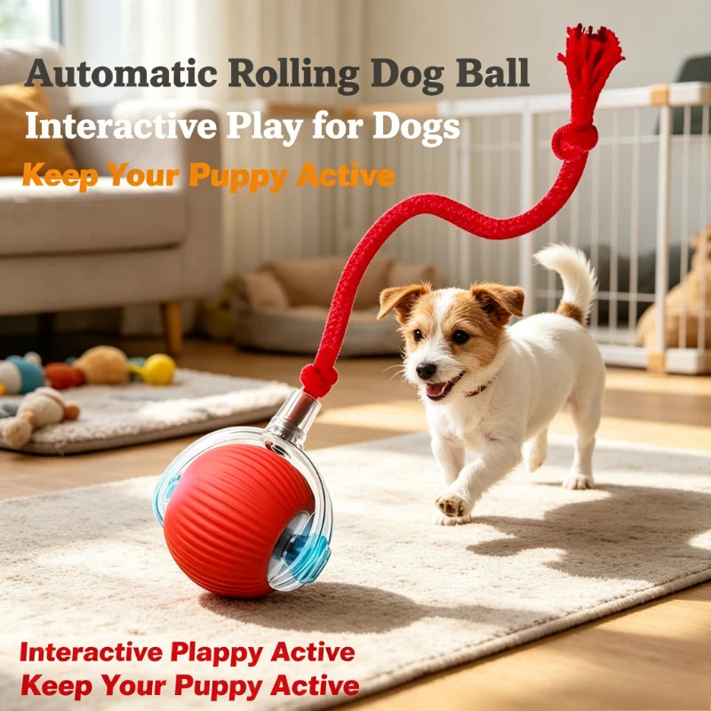 Automatic Rolling Dog Ball