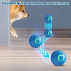 Smart Rolling Ball