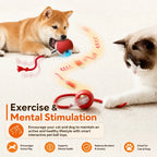Automatic Rolling Dog Ball