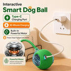 Automatic Rolling Dog Ball