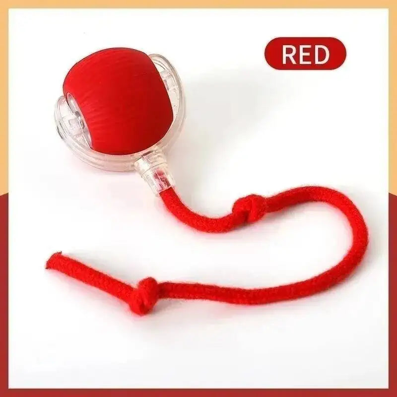 Smart Rolling Ball