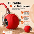 Automatic Rolling Dog Ball