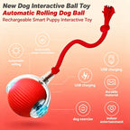 Automatic Rolling Dog Ball
