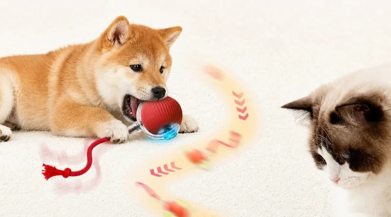 It rolls. Your pet chases.